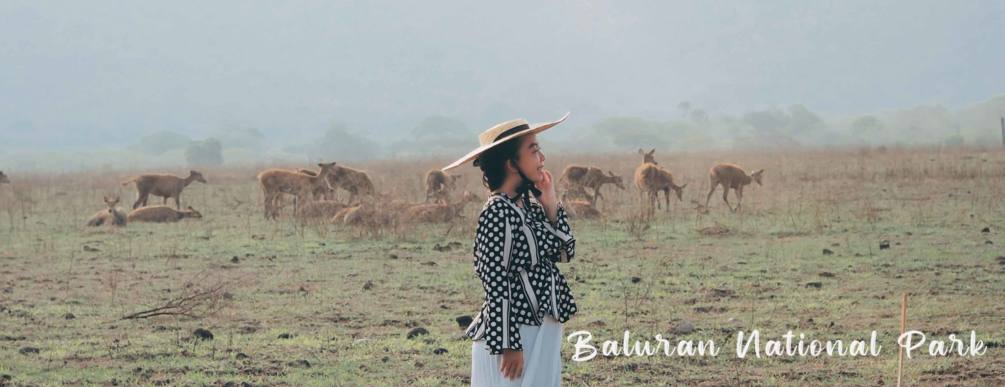 Jalan Jalan Di Banyuwangi - Paket Wisata Banyuwangi