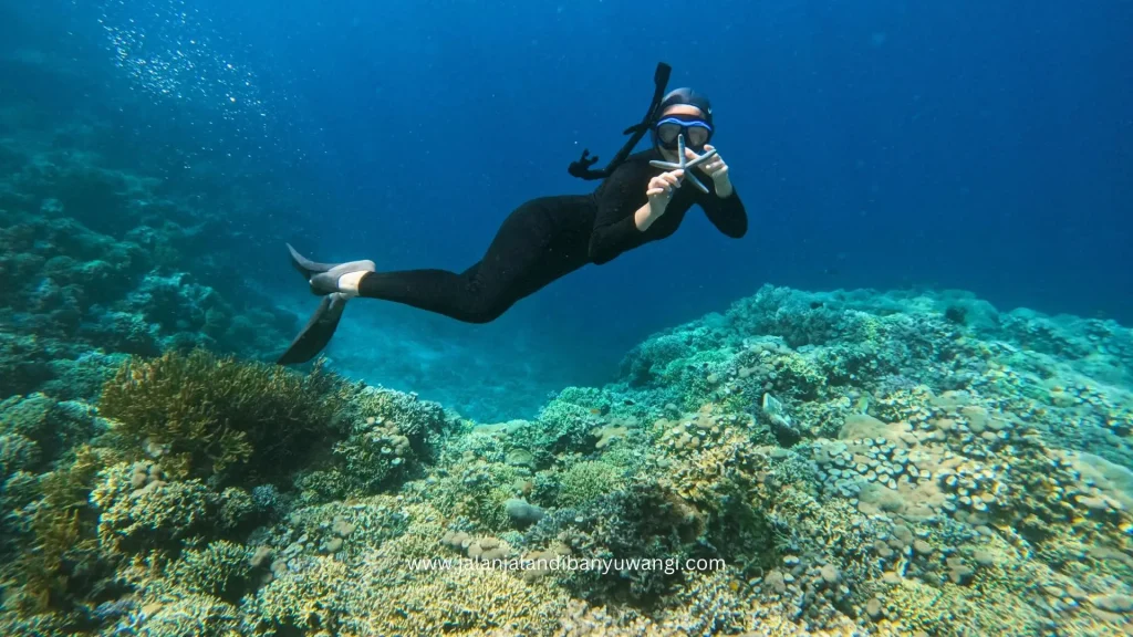 Snorkeling Pulau Menjangan
