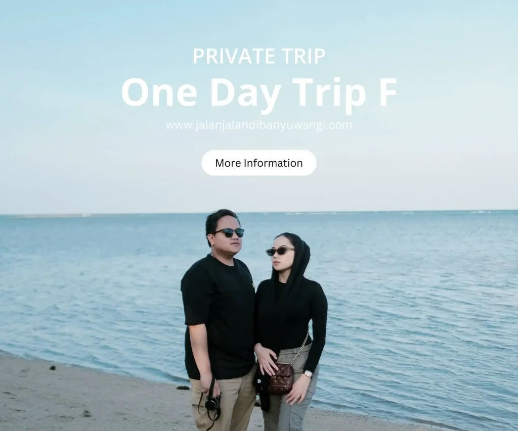One day trip Banywuangi F