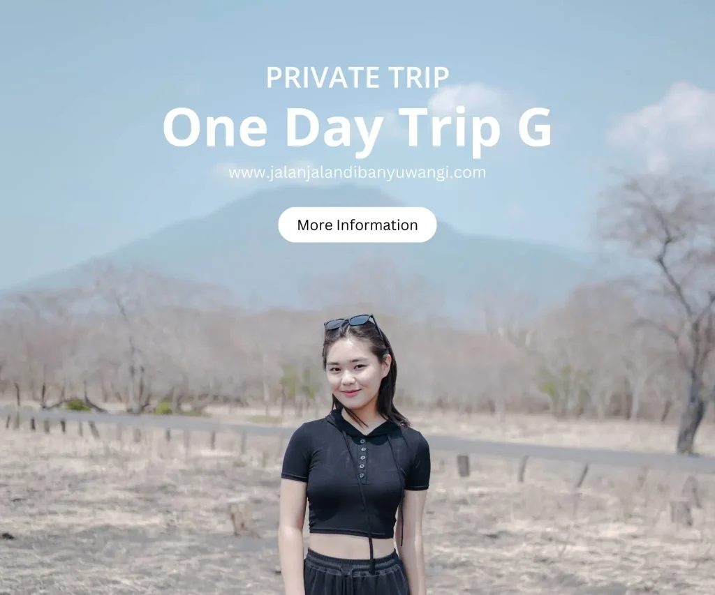 One day trip Banywuangi G