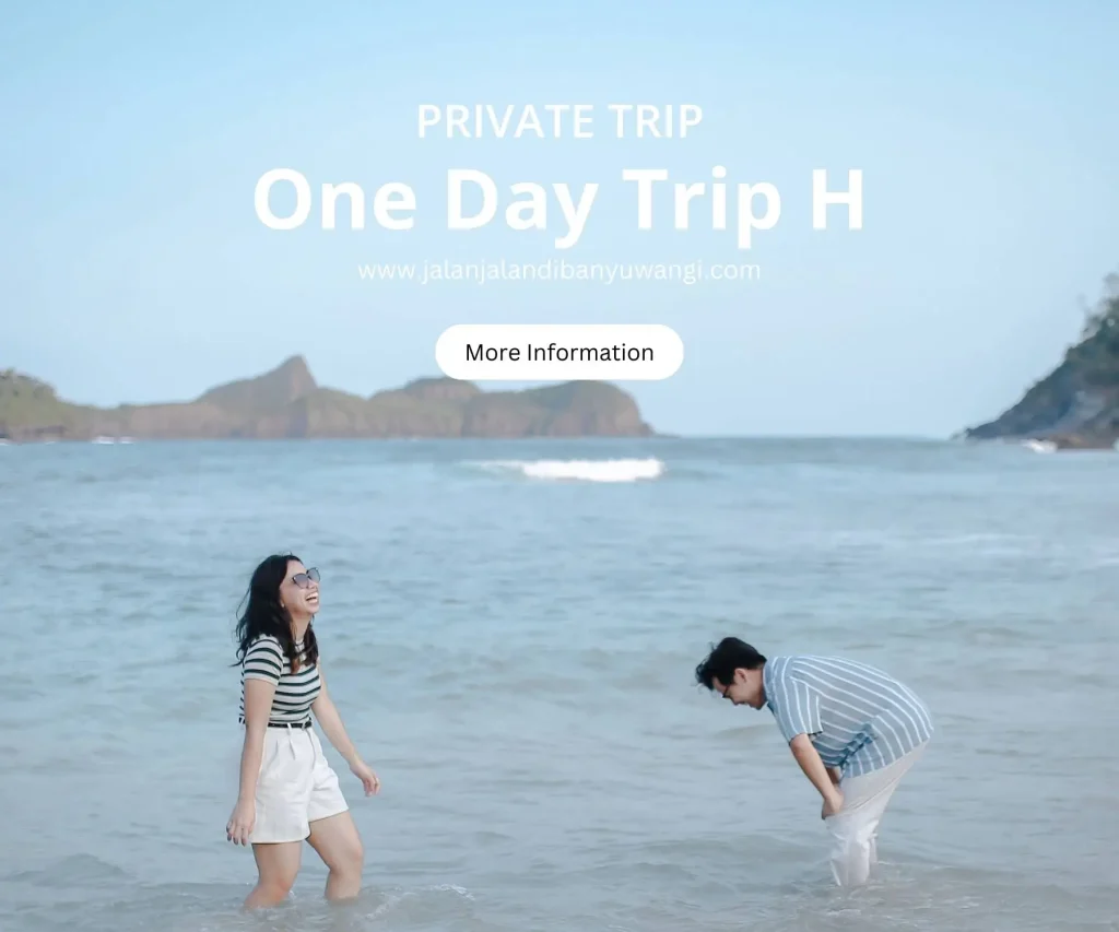One day trip Banywuangi H