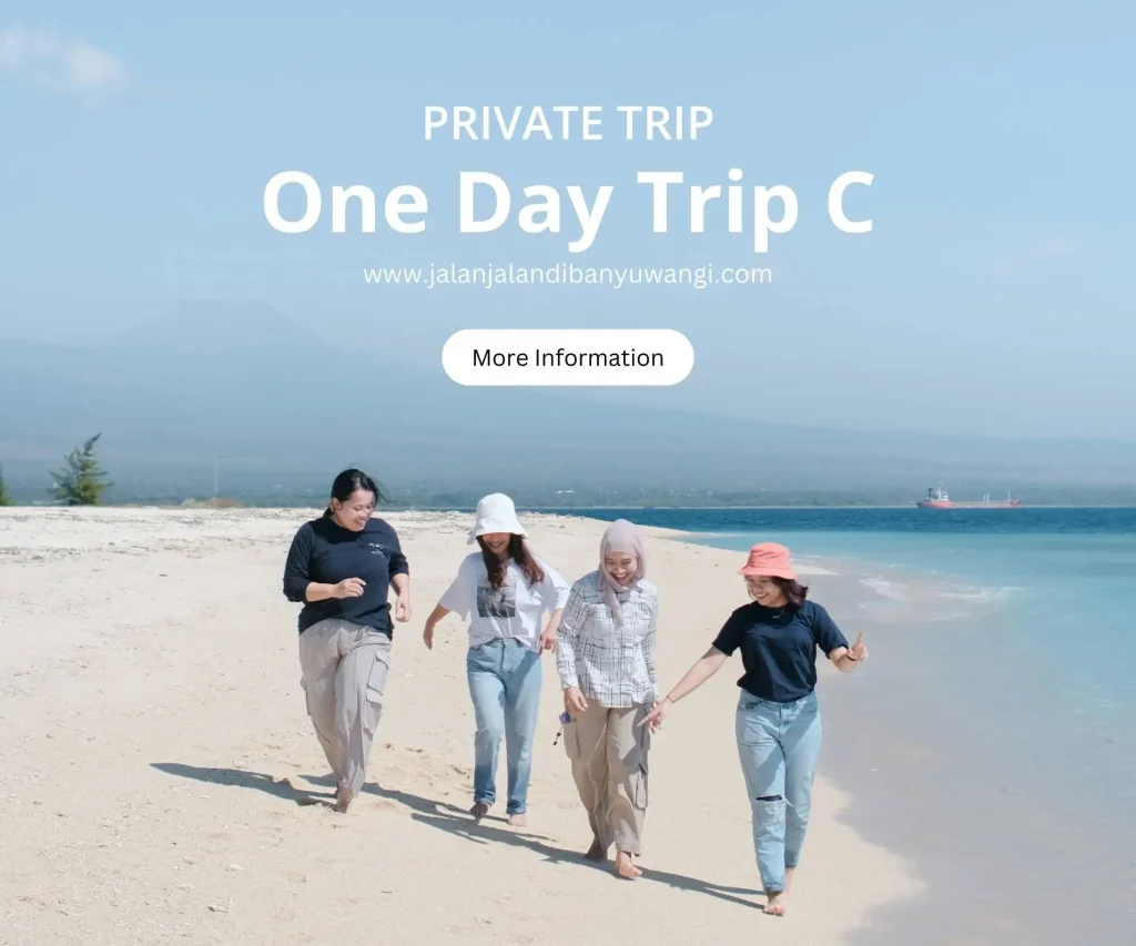 One day trip Banywuangi C