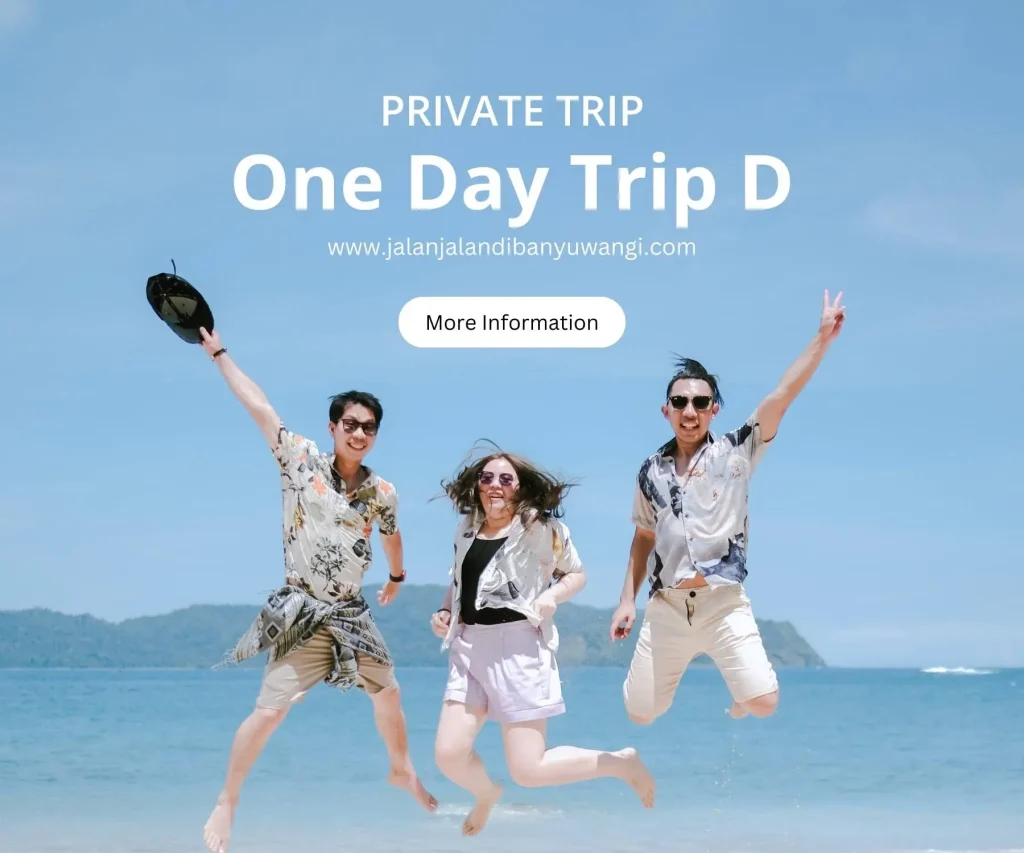 One day trip Banywuangi D