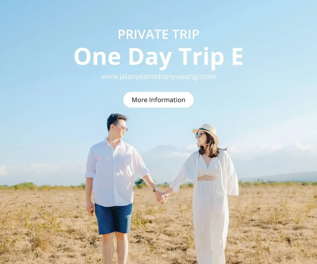 One day trip Banywuangi E