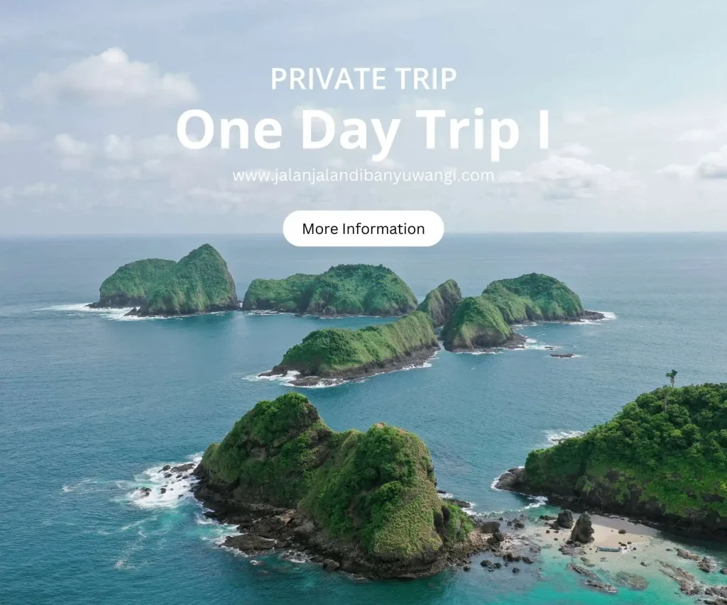 One day trip Green Island I