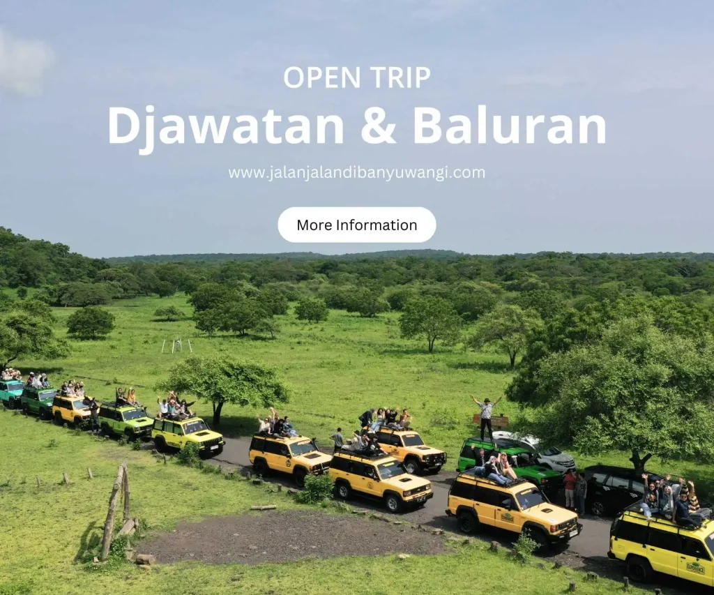open trip djawatan dan baluran