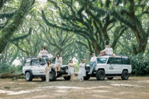 Hutan De-Djawatan Banyuwangi