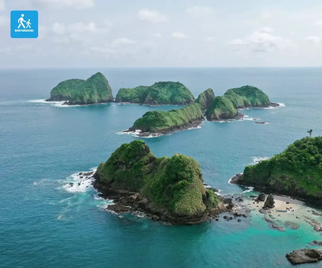 One day trip Green Island I